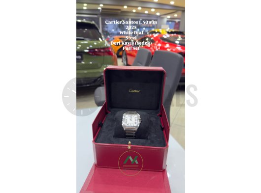 CARTIER SANTOS STEEL