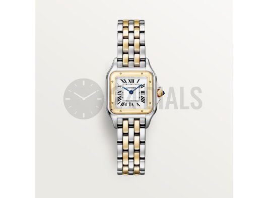 Cartier Panthere Small Steel& Gold